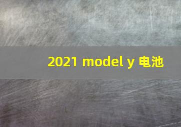 2021 model y 电池